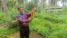 From 50 Beehive Boxes to a Thriving Model Farm: SR Venkatesh's Inspiring Beekeeping Journey