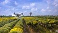 Digital Agriculture Mission: Cabinet Approves Rs. 2,817 Crore Initiative to Revolutionize Infrastructure