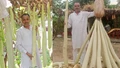 Madhya Pradesh Farmer Grows 7-Foot Long Bottle Gourd, Earns Rs 30 Lakh Annually