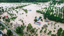 Andhra Floods Damage 1.8 lakh ha of Crops, Affecting Nearly 2 Lakh Farmers