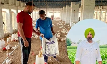 How a Punjab Farmer Transformed His Life with Poultry Farming and Achieved 6-Figure Profits