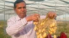 Meet Ramkaran Tiwari, Who Harvests Around 4000 Quintals of Potatoes, Earning Around Rs 1 Cr in Profits