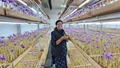 64-Year-Old Woman Earns Lakhs from Indoor Saffron Farming and Empowers Rural Women