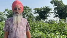 How This Farmer Earns a Profit of 2 Lakh per Acre with Black Carrot Cultivation and Became a Crorepati