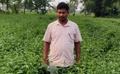 Bihar Farmer Transforms Village, Empowering Over 100 Farmers Through Tea Plantation Initiative