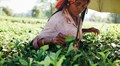 USDA Invests 466.5 Million Dollar in Global Food Assistance and Agricultural Development