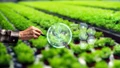 5 Trailblazing Innovators Shaping the Future of Sustainable Agriculture