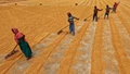 Global Food Prices Rise 3% in September, Driven by Sugar and Cereal Increases, Says FAO