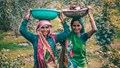 DAY-NRLM Partners with 10 Banks to Strengthen 'Lakhpati Didi' Initiative with Larger Loans