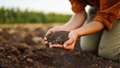 10 Best Ways to Boost Humus Content in Your Garden Soil