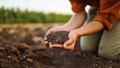 10 Best Ways to Boost Humus Content in Your Garden Soil