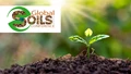 Global Soils Conference 2024 to Address Urgent Challenges in Soil Health, Climate Change, and Food Security