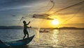 World Fisheries Day 2024 to Launch Key Initiatives for Sustainable Fisheries Growth