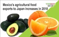 Mexico’s agricultural food exports to Japan increases in 2018