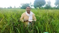 Telangana Farmer-Jakkula R. Thirupathi- Earns Rs 1 Lakh Annually Through Kalanamak Rice Cultivation