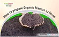 How to prepare Organic Manure at Home