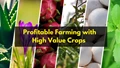 Top High-Value Crops for Farmers to Grow in 2025 to Maximize Profits