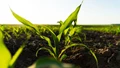 Stanford Researchers Develop Portable Device that Produces Key Fertilizer Ingredient from Thin Air, Cuts GHG Emissions