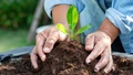 Soil Organic Matter (SOM): Secret Ingredient for Healthy Soil and Sustainable Agriculture