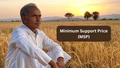 MSP Guarantee Law: Support for Farmers or an Economic Challenge?