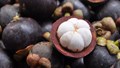 Mangosteen: Queen of Fruits in India – Cultivation, Health Benefits, and Economic Potential