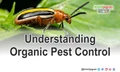 Understanding Organic Pest Control