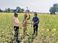 ICAR-RCER Patna Trains Farmers to Enhance Pulses and Oilseeds Cultivation in Rice-Fallow Lands