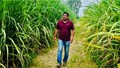 UP Sugarcane Farmer Himanshu Nath Singh Achieves Rs 1 Crore Turnover Annually with Modern Techniques, Organic Practices, and Mechanization
