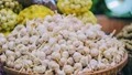 Yamuna Purple-10: A High-Yielding, Disease-Resistant Garlic Variety to Improve Productivity