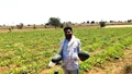 MP Farmer Generates an Annual Turnover of Rs 50-75 Lakh Through High-Value Crops and Innovative Farming Techniques