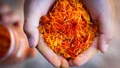 Indian Saffron: Golden Spice with Rich History, Market Growth, and Future Potential