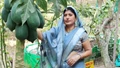 Rajasthan Women Farmer Earns Rs 50 Lakhs Annually Cultivating Organic Crops and Championing Eco-Friendly Farming