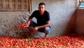 Assam Farmer Earns Rs 40,000 per Bigha from Organic Watermelon and King Chilli, Focusing on Sustainable Farming