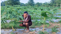 42-Year-Old Assam Farmer Earns Lakhs Annually from Organic Papaya, Chilies, Tomatoes, Strawberries, Using Integrated Farming System