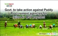 Govt. to take action against Paddy Procurement agencies for failure in MSP payment