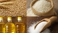 Global Food Prices Remain Stable in March 2025 as Cereal and Sugar Costs Dip: FAO Report