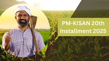 PM-KISAN 20th Instalment Worth Rs 20,500 Crore to Be Released on August 2: Complete These Crucial Steps Now for Timely Payment