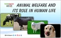 Animal Welfare and Its Role in Human Life
