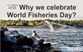 Why we celebrate World Fisheries Day?