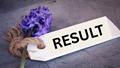 RBSE Class 12th Result 2025: Check Release Date, Steps to Download and More