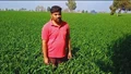 A Young Progressive Farmer from Punjab Writing a New Chapter of Prosperity with PB-1121 Basmati Rice