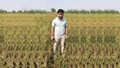 How Kokila-33 Paddy Variety Changed a Young Farmer’s Life Through Profitable Farming