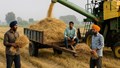 From Stubble to Success: How New Tech, Govt Subsidies, and Innovation Are Helping Farmers Earn More, Save the Planet, and Revolutionize Farming