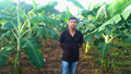 How an Assam Farmer Turned Banana Farming into a Rs 30 Lakh-a-Year Business