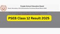 PSEB Class 12 Result 2025 Declared at pseb.ac.in: 91% Pass, Amritsar Tops, Harsirat Kaur Scores Perfect 500