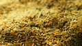 Paddy Farming: 10 Climate-Smart Rice Varieties for High and Profitable Yields