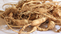 Ginseng: A Complete Guide to Growing and Using This Ancient Root for Modern Wellness