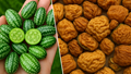 Kachri Cultivation: Rajasthan’s Desert Melon with Rich Culinary and Medicinal Benefits