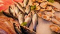 Mixed Fish Farming: A Practical Guide to Sustainable Livelihood and Nutrition