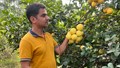 Lekh Ram Yadav Builds a Rs 17 Crore Organic Business with A2 Dairy, Agri-Tourism, and Sustainable Techniques